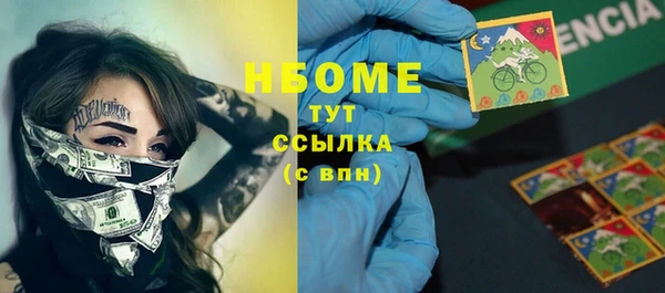 индика Костерёво