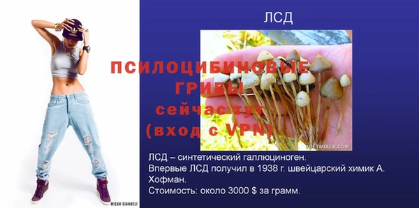 круглые Краснослободск