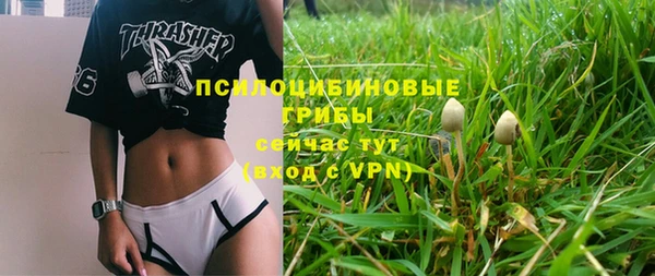 ECSTASY Красноперекопск