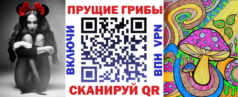 Купить где  Дальнегорск  Галлюциногенные грибы Magic Shrooms 